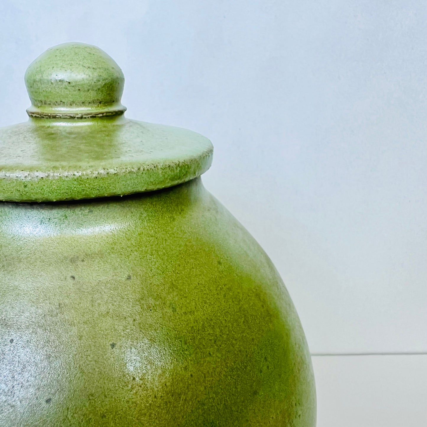 Tarro cubierto de musgo