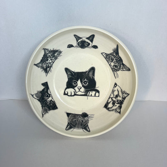 Kitty Bowl