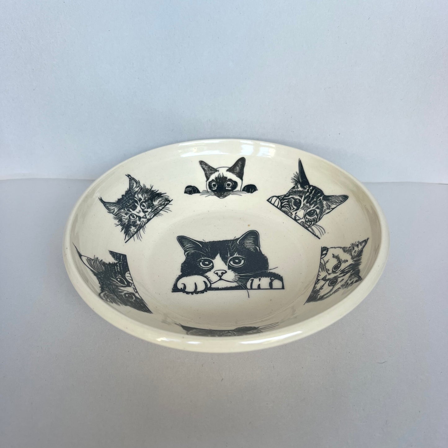 Kitty Bowl