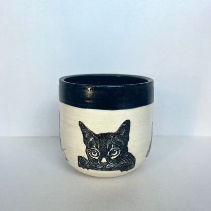 Kitty Cup #3