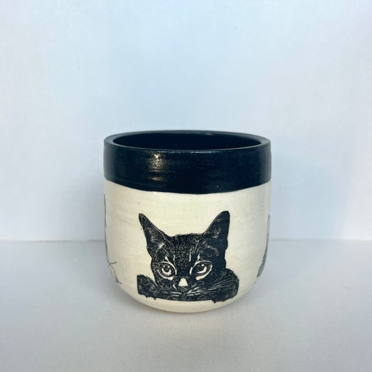 Kitty Cup #3