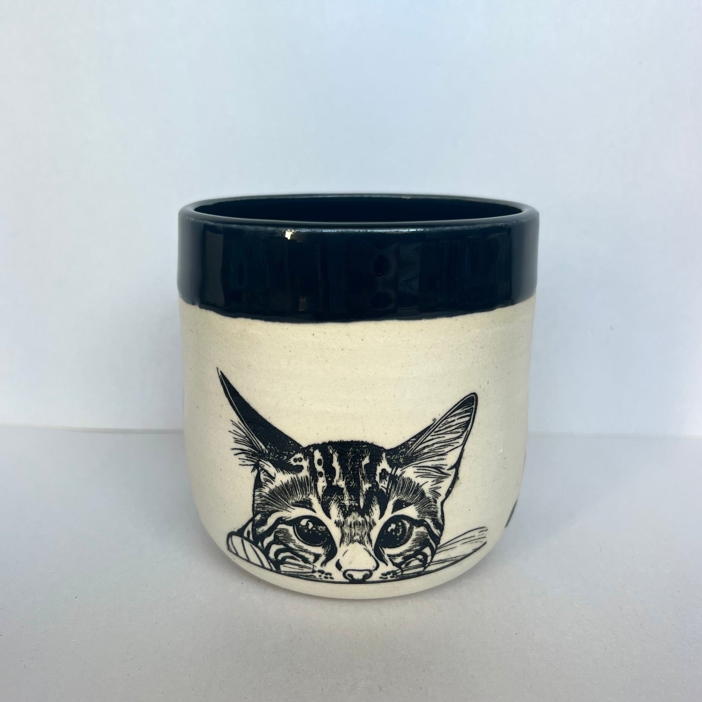Kitty Cup #4