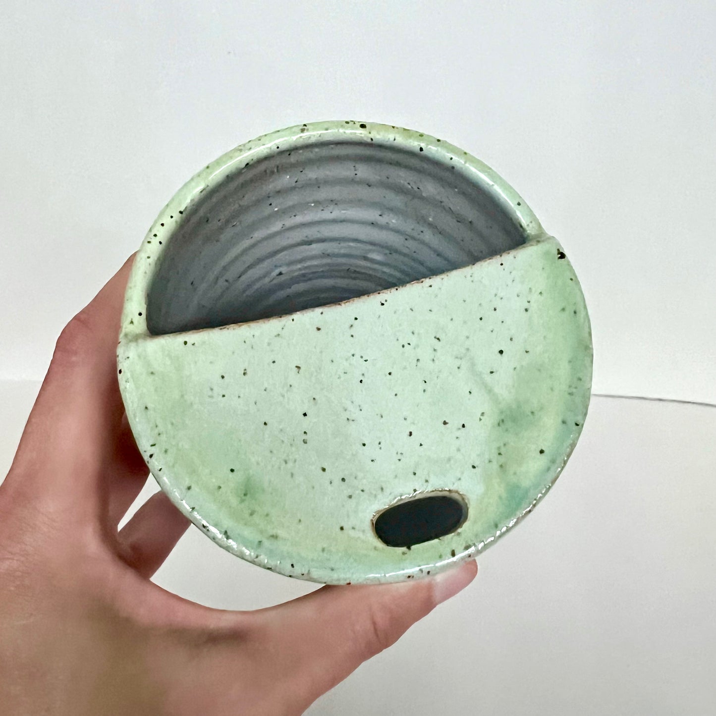 Shelly To-Go Mug