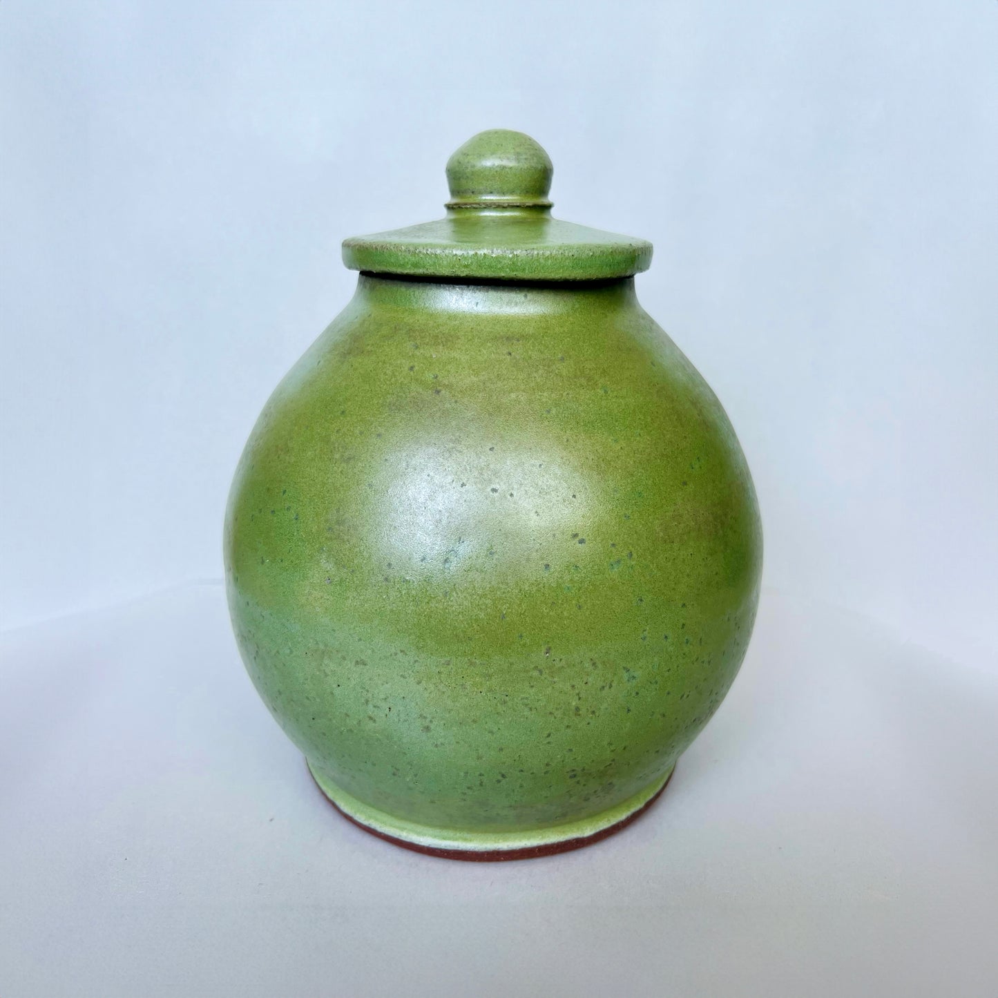 Tarro cubierto de musgo