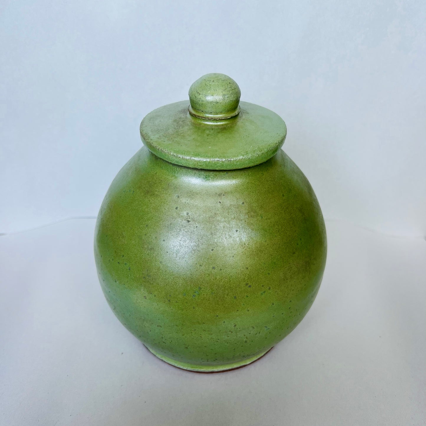 Tarro cubierto de musgo