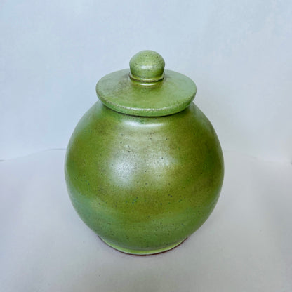 Tarro cubierto de musgo