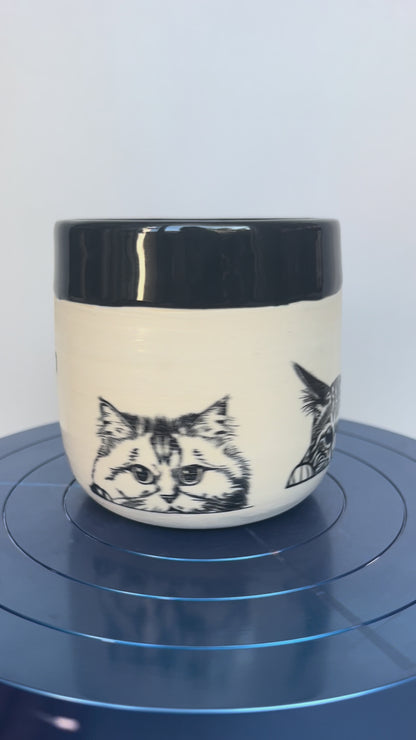 Kitty Cup #2