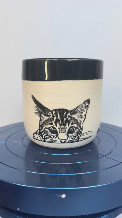 Kitty Cup #4