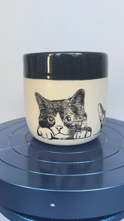 Kitty Cup #1