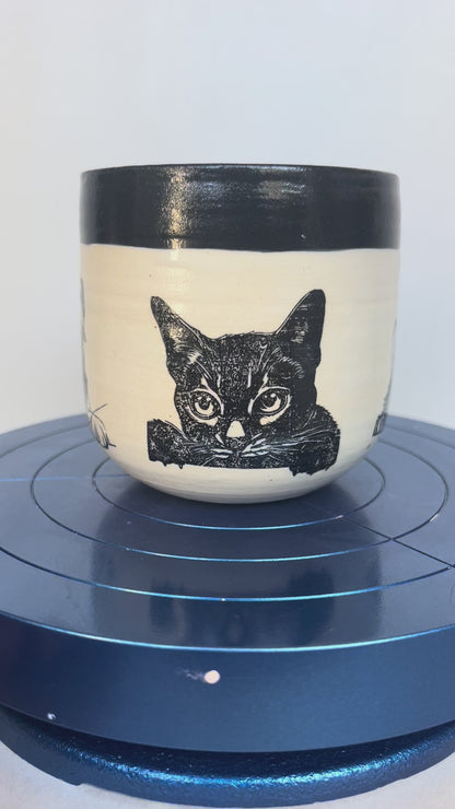 Kitty Cup #3